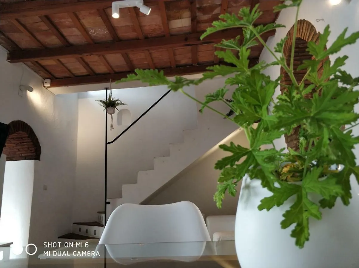 The Best In The Center Of Tarifa Apartment